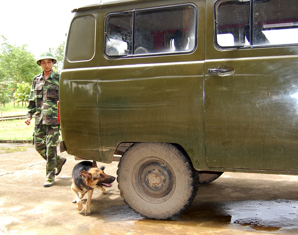 Nhận biết ma túy ở xe ô tô.